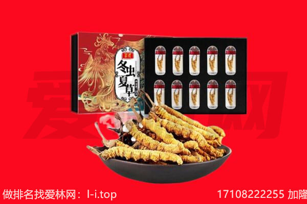 恭城县回收虫草.jpg